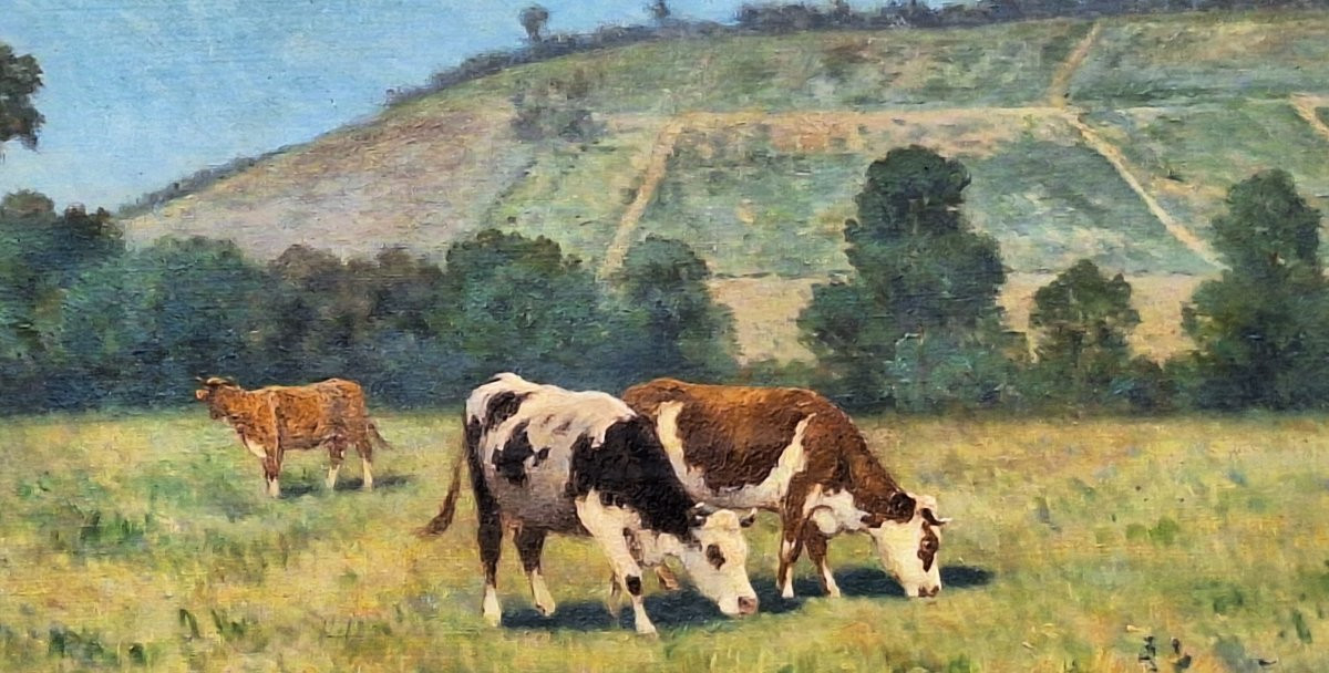 Maurice Lessertisseux ( 1864 --   ) "the Cows In The Meadow " Oil On Canvas,-photo-3