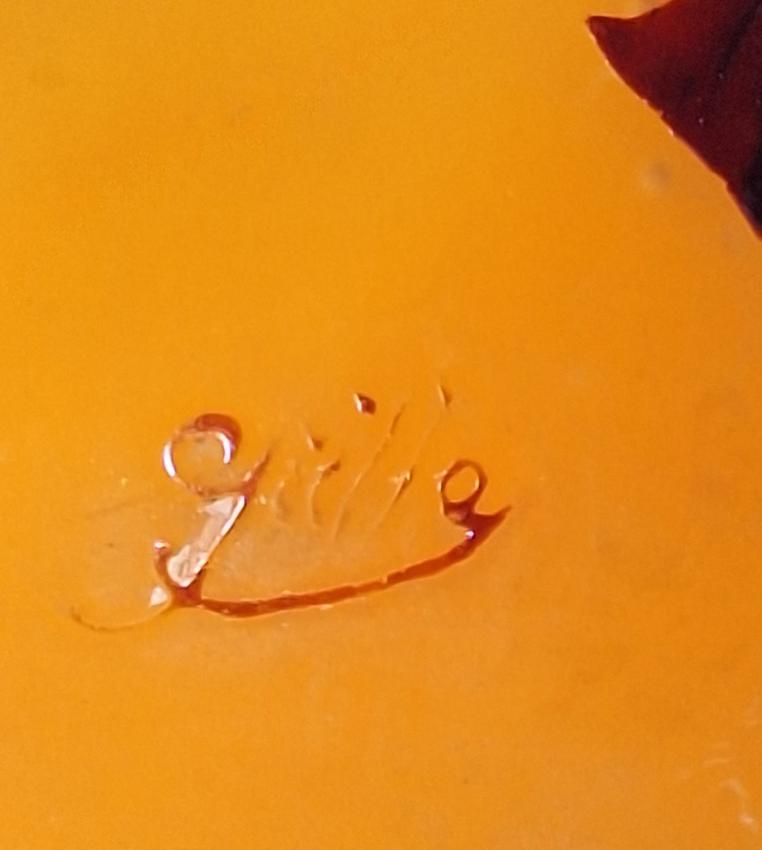 Vase  en verre multicouche dégagé à l'acide , signé Gallé ,Art Nouveau .-photo-2