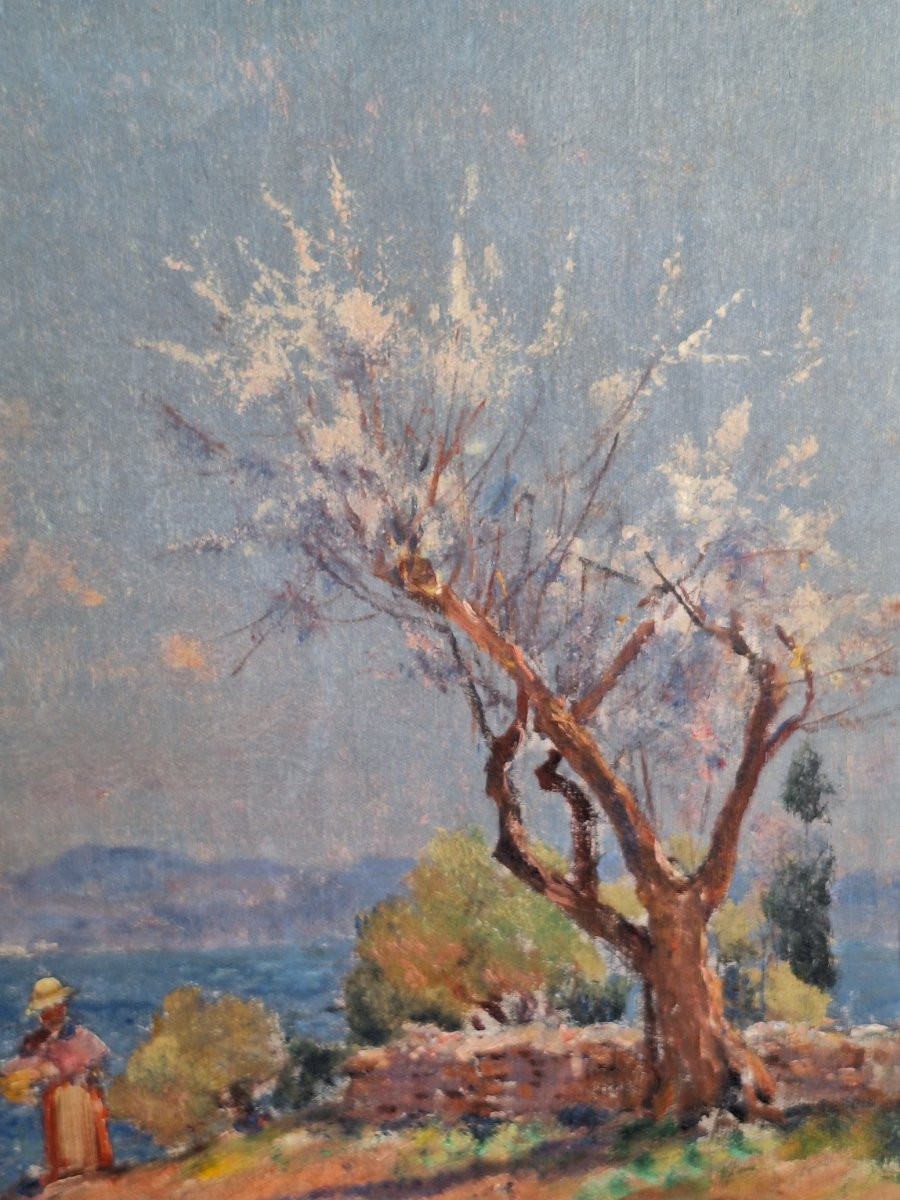 Frédéric Montenard (1849-1926) "landscape Of Provence In Spring", Oil On Canvas, -photo-6