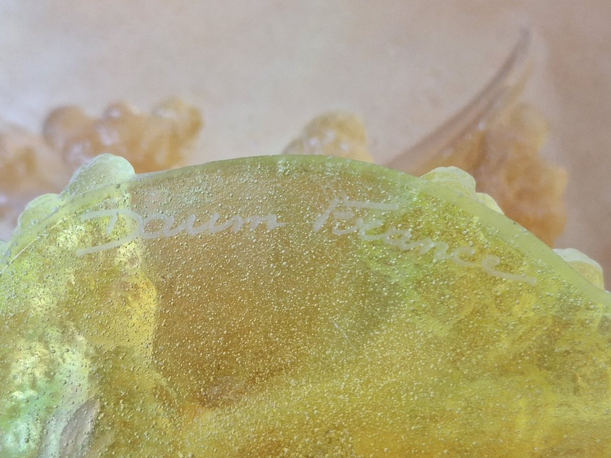 Coupe en pâte de verre ," Daum France ",collection Mimosa -photo-3