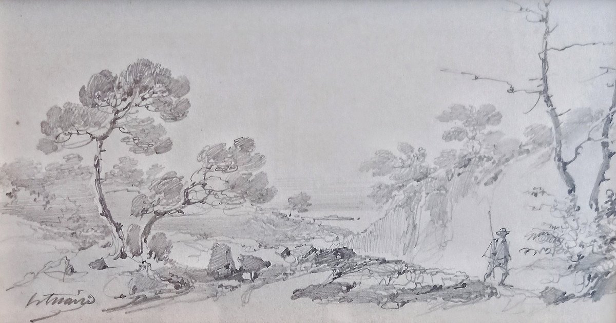 Pierre Letuaire (1798–1884), Landscape In Provence (toulon), Signed Drawing-photo-2
