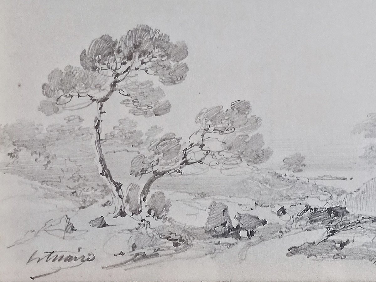 Pierre Letuaire (1798–1884), Landscape In Provence (toulon), Signed Drawing-photo-3