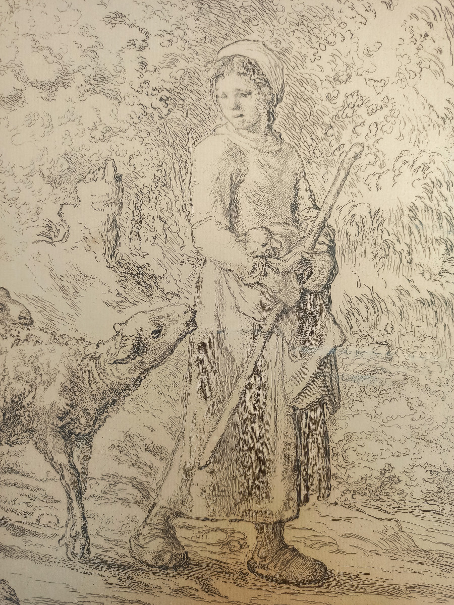 1st State  (on 7) Of A Print By Bracquemond After Millet – "the New Born Lamb", 1886, Signed-photo-2