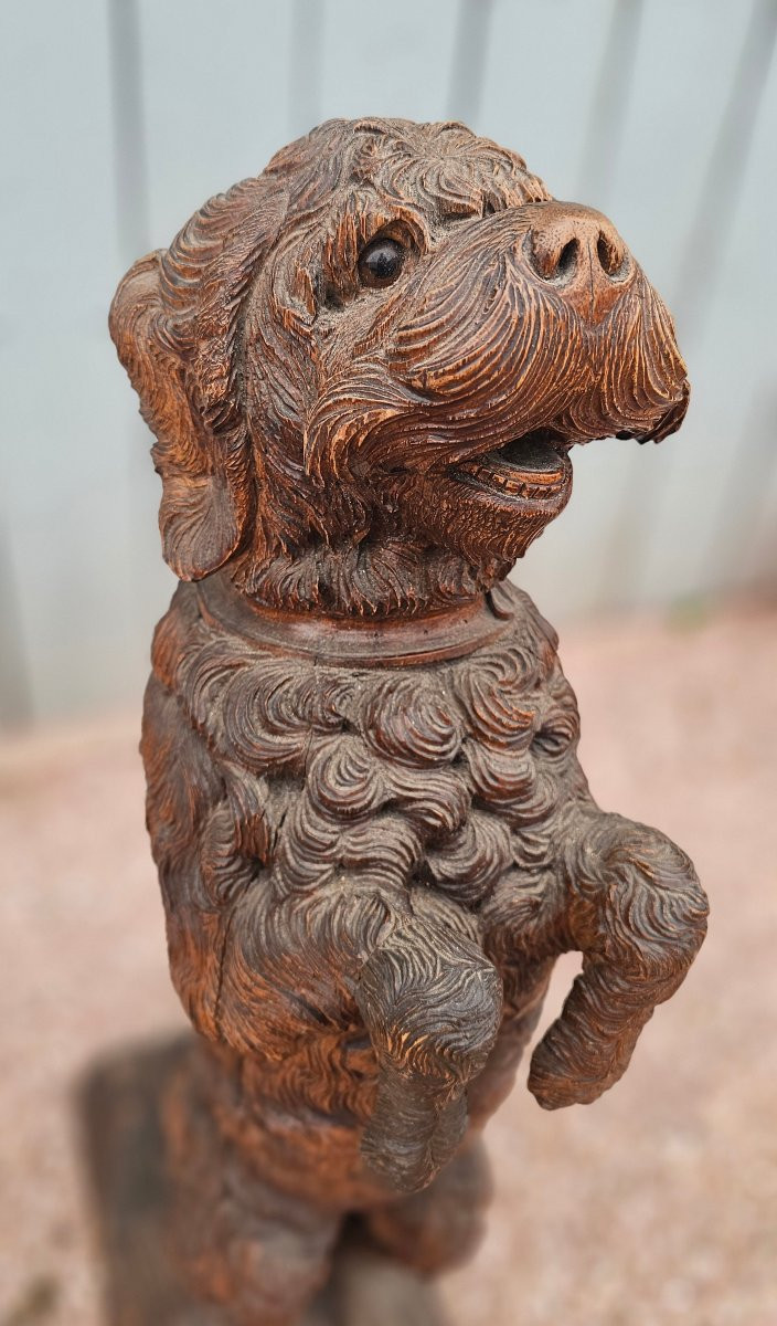 Rare Wooden Cane Holder Carved From Black Forest Pi-photo-2