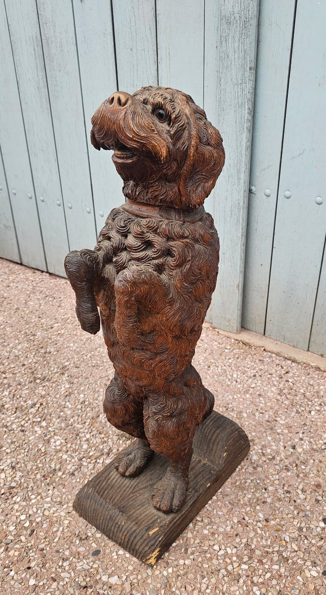 Rare Wooden Cane Holder Carved From Black Forest Pi-photo-3