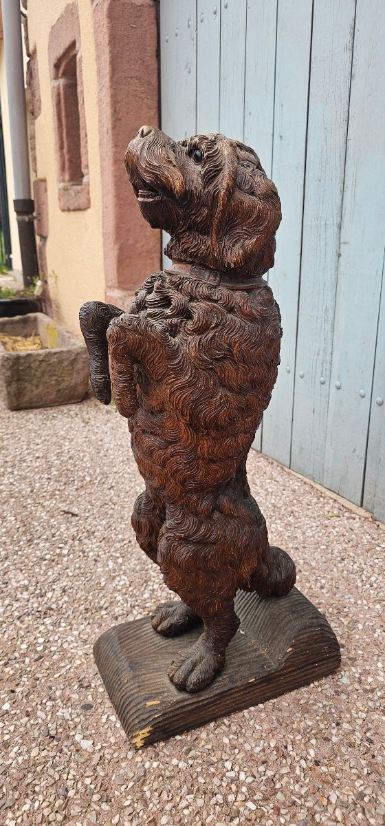 Rare Wooden Cane Holder Carved From Black Forest Pi-photo-4
