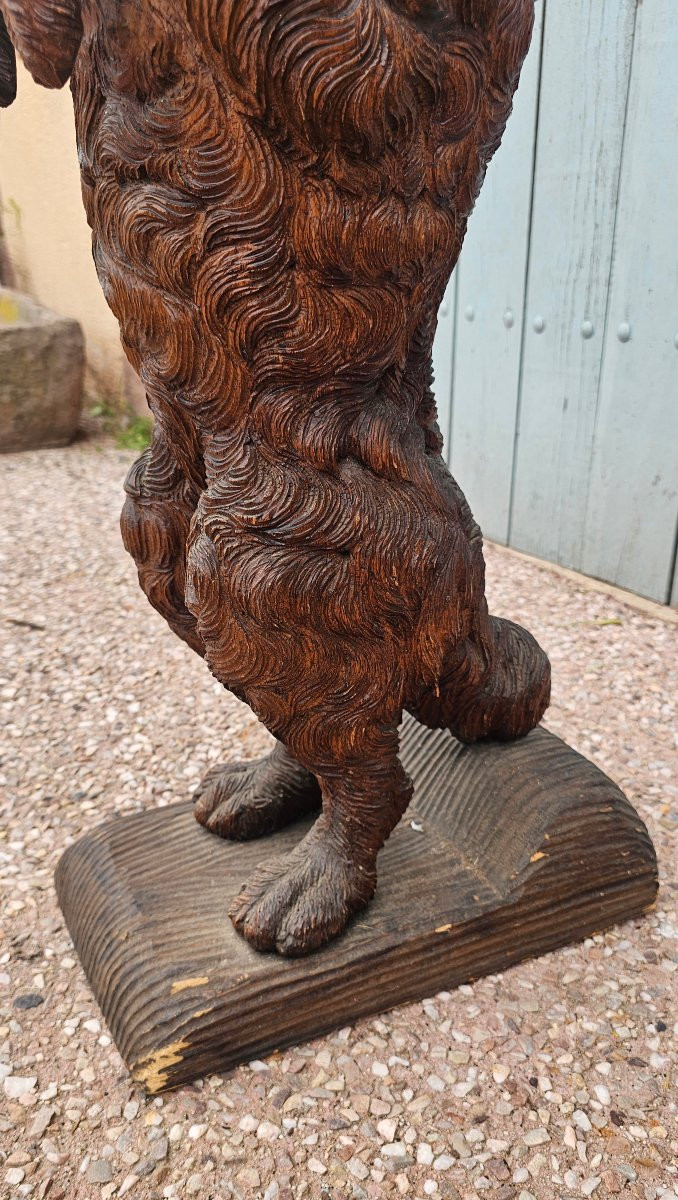Rare Wooden Cane Holder Carved From Black Forest Pi-photo-1