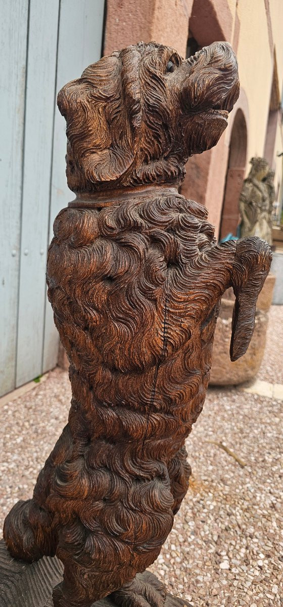Rare Wooden Cane Holder Carved From Black Forest Pi-photo-3