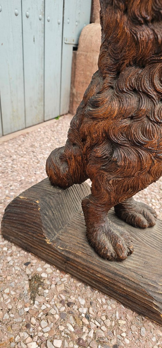 Rare Wooden Cane Holder Carved From Black Forest Pi-photo-4