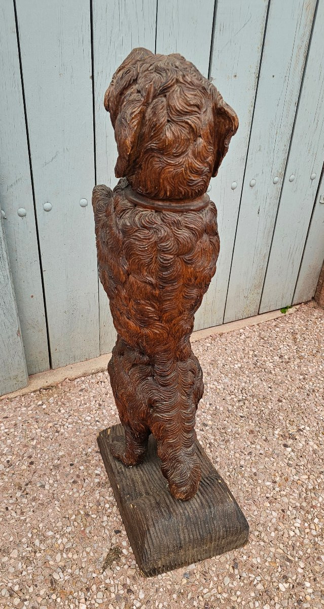 Rare Wooden Cane Holder Carved From Black Forest Pi-photo-5