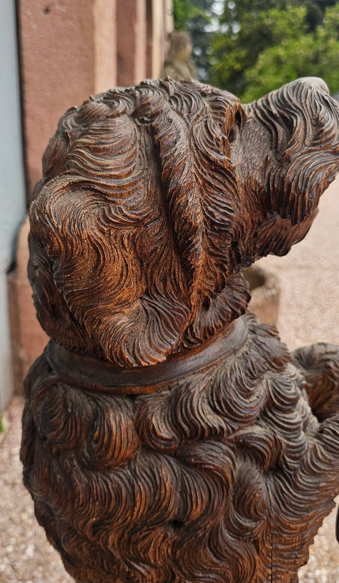 Rare Wooden Cane Holder Carved From Black Forest Pi-photo-7