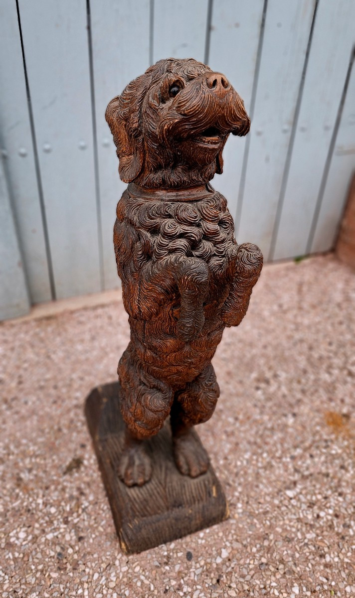 Rare Wooden Cane Holder Carved From Black Forest Pi