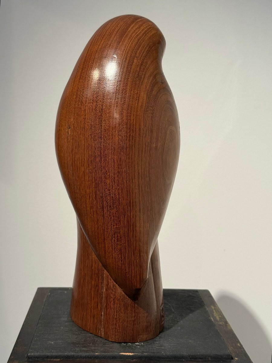 Parrot, Rosewood Sculpture By Françoise Salmon Circa 1960-photo-4