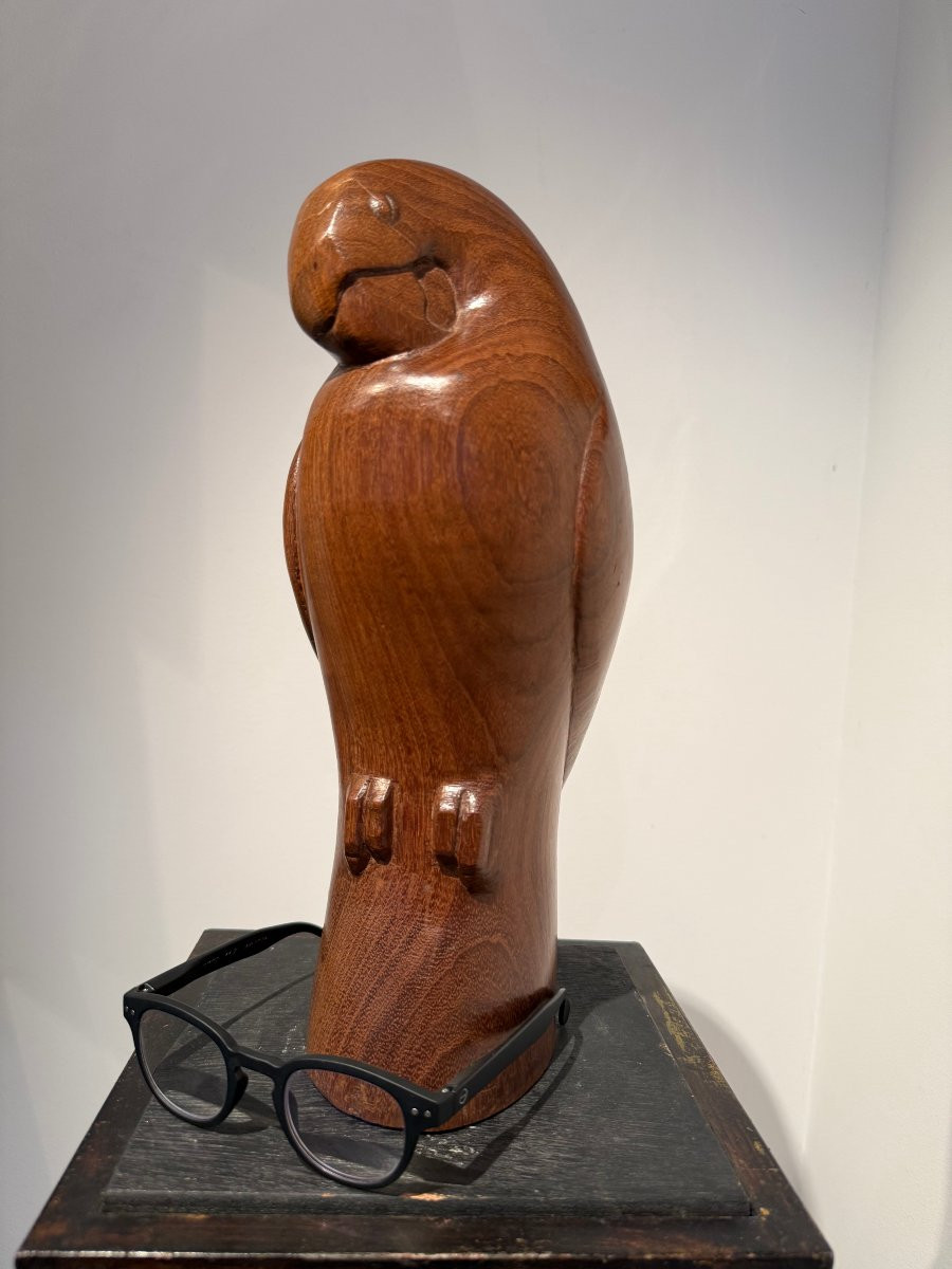 Parrot, Rosewood Sculpture By Françoise Salmon Circa 1960-photo-3
