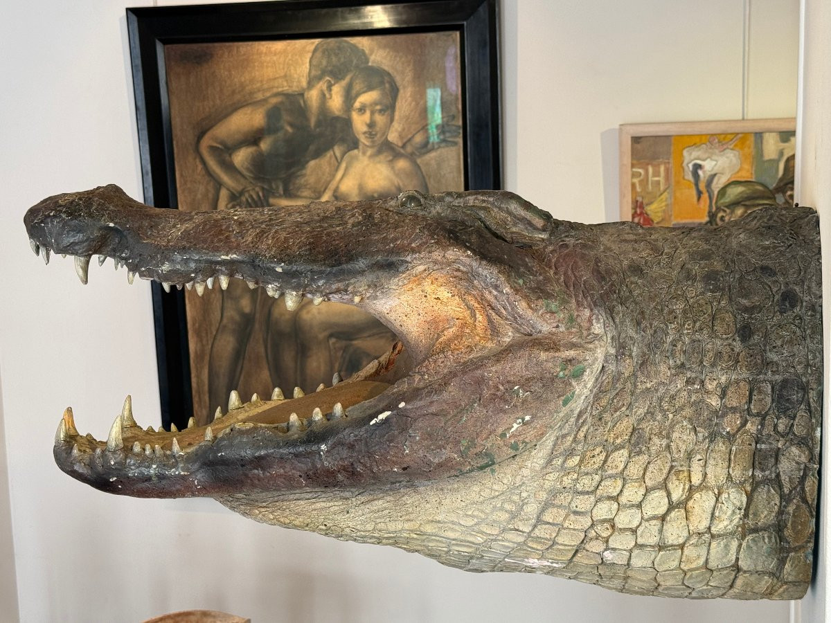 Tete de crocodile grandeur nature en fibre de verre -photo-2
