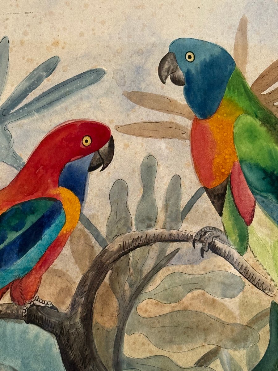 Les Perroquets, aquarelle de Georges Lucien Guyot 