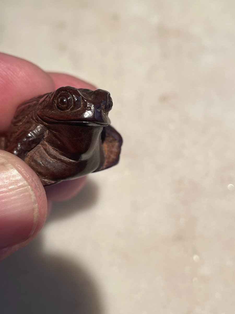 Japanese Netsuke - Toad-photo-5