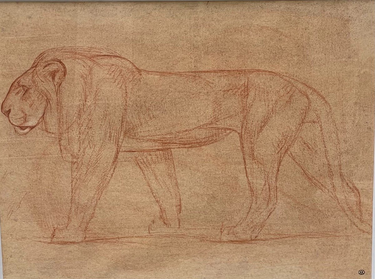 Le Lion Dessin d'André Abbal Vers 1925