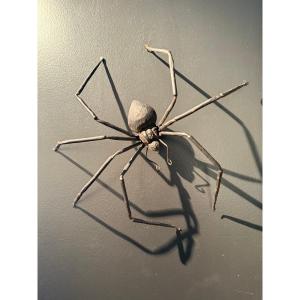 A Large Spider, Italian Work From The 50s 