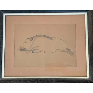 "boar".    Drawing From The 30s By Georges Hilbert