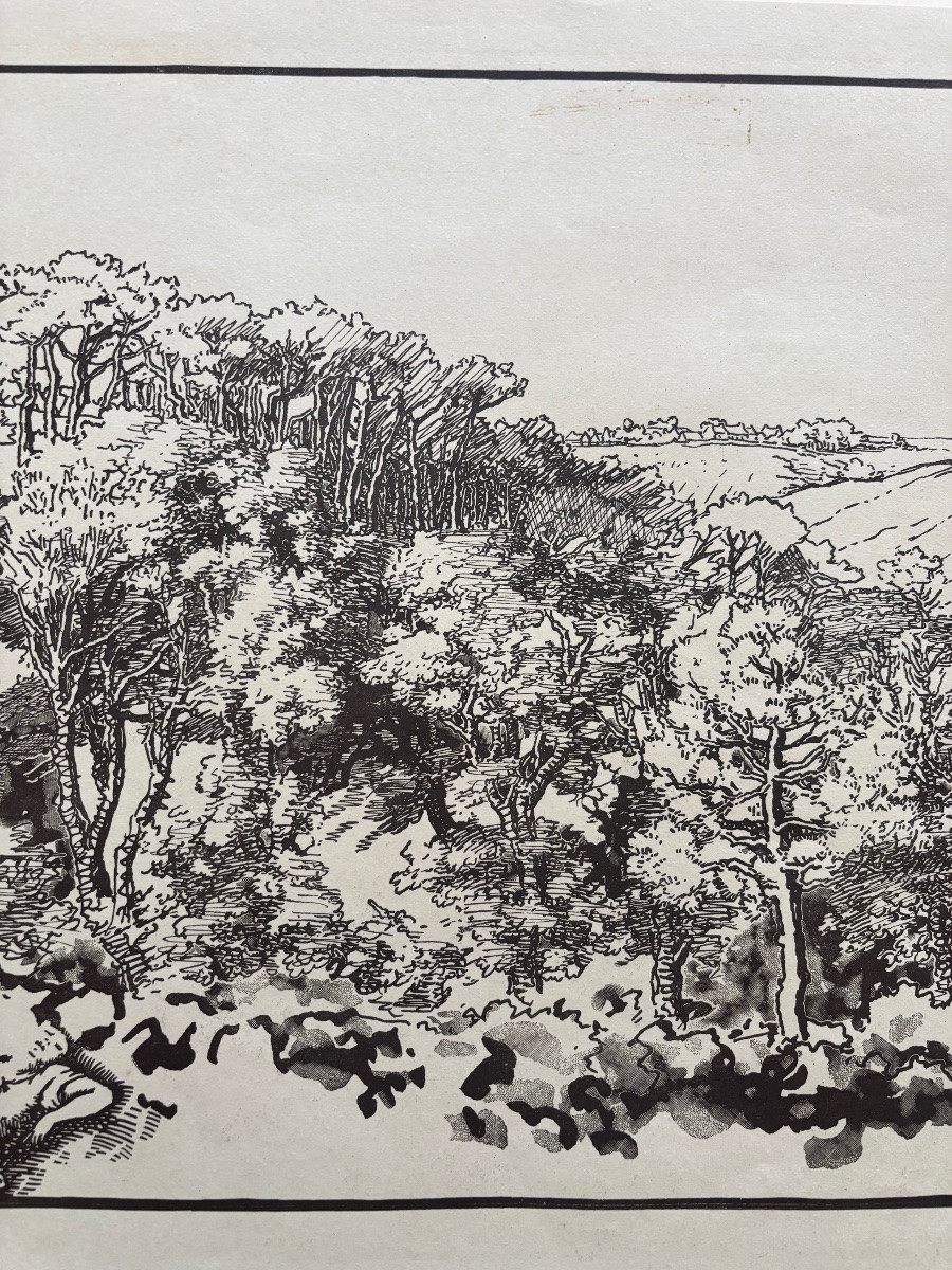 Trial Proof – Original Engraving By Jacques Beltrand – Wooded Landscape-photo-3