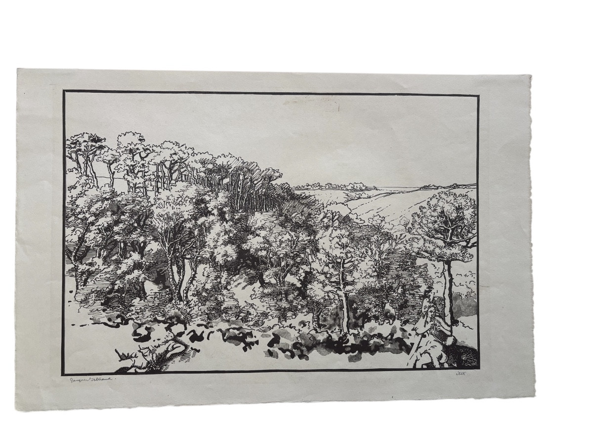 Trial Proof – Original Engraving By Jacques Beltrand – Wooded Landscape