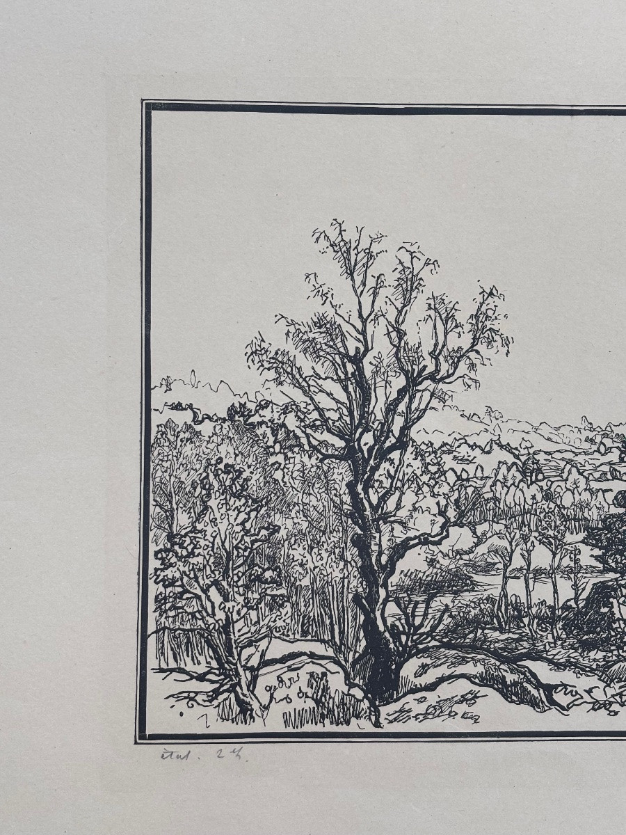 Trial Proof – Original Engraving By Jacques Beltrand – Wooded Landscape 2/2-photo-2