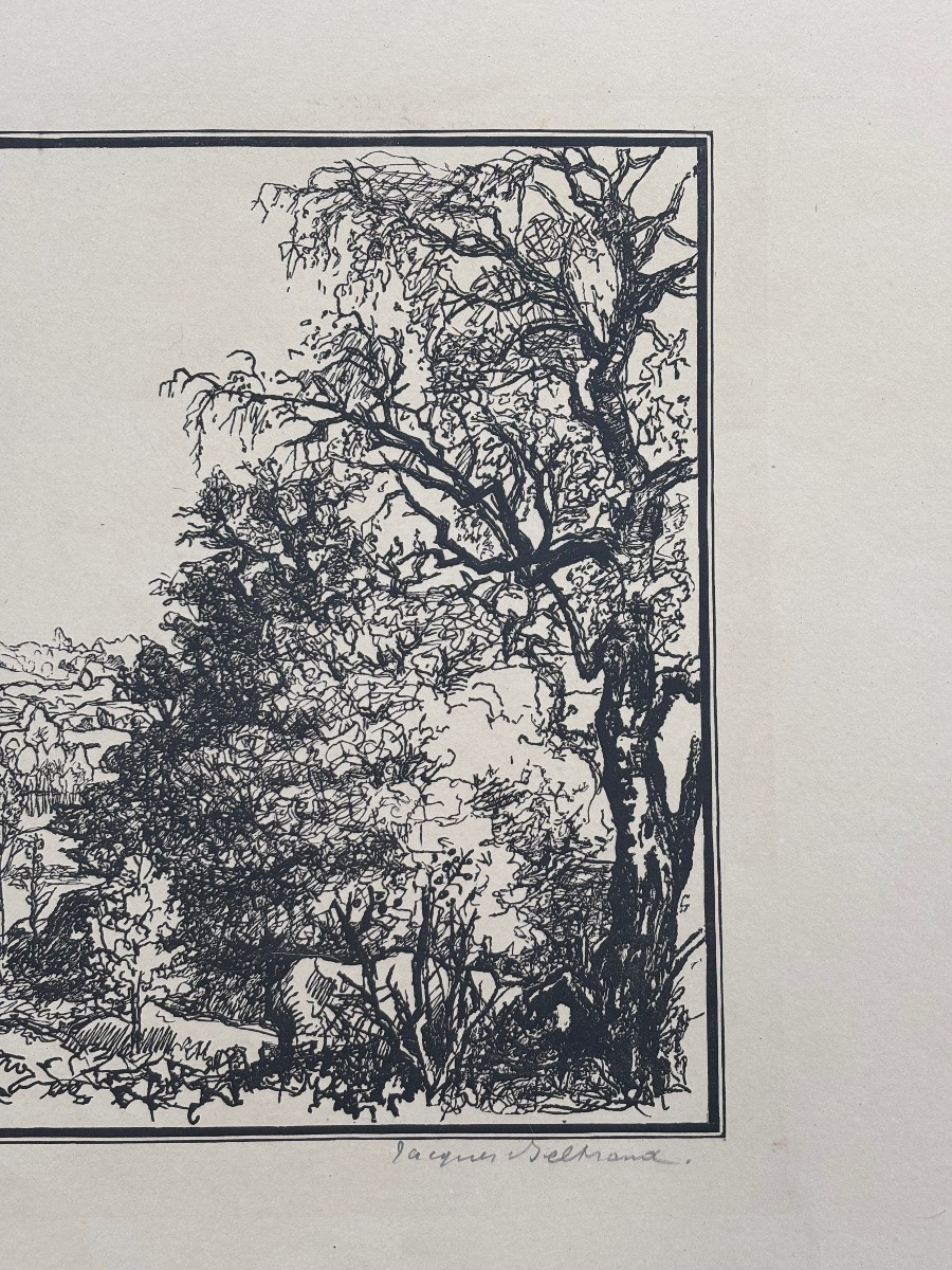 Trial Proof – Original Engraving By Jacques Beltrand – Wooded Landscape 2/2-photo-4
