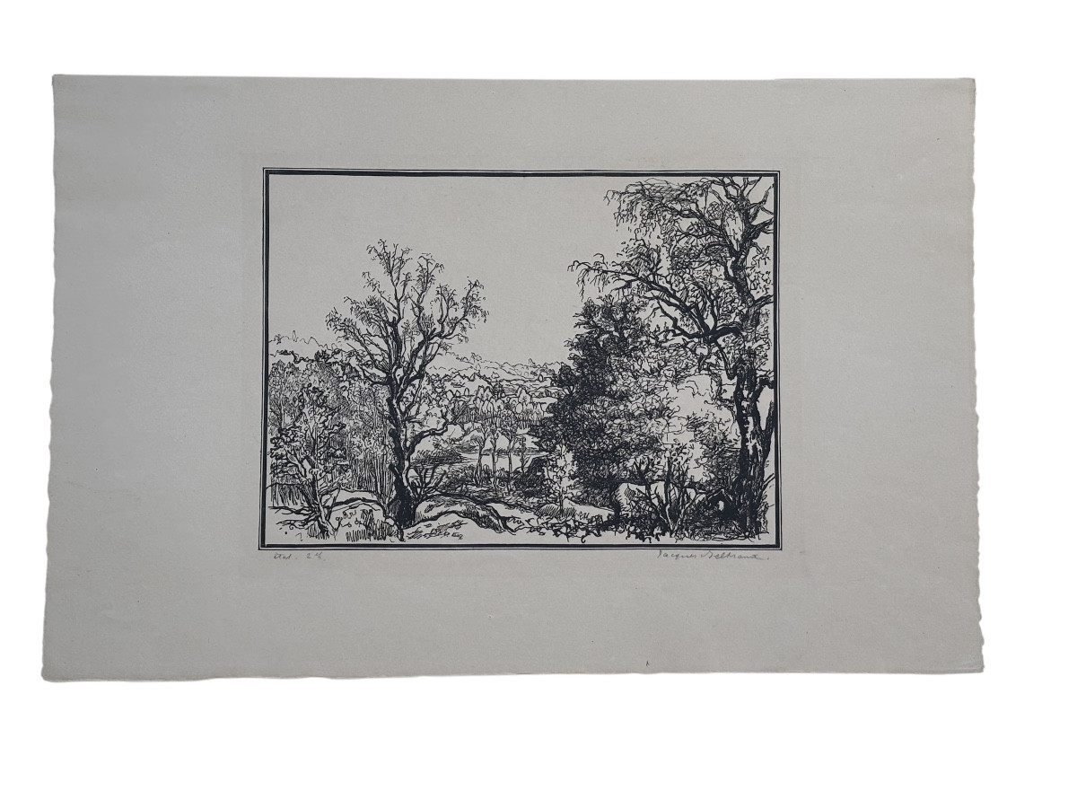 Trial Proof – Original Engraving By Jacques Beltrand – Wooded Landscape 2/2