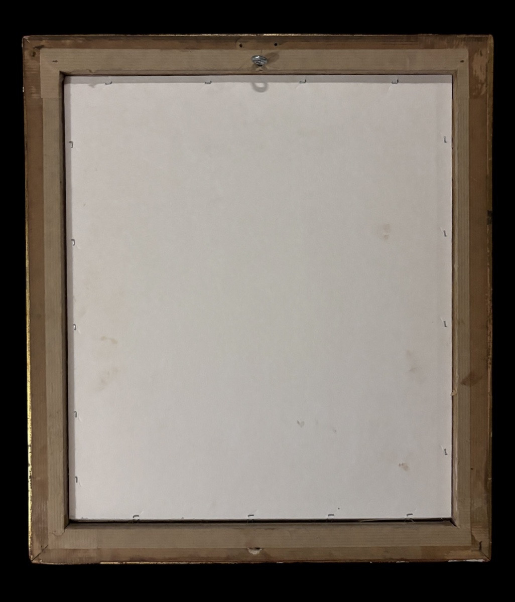 Blason de la famille Capizucchi di Roma, encadré – Italie, XXe siècle-photo-3