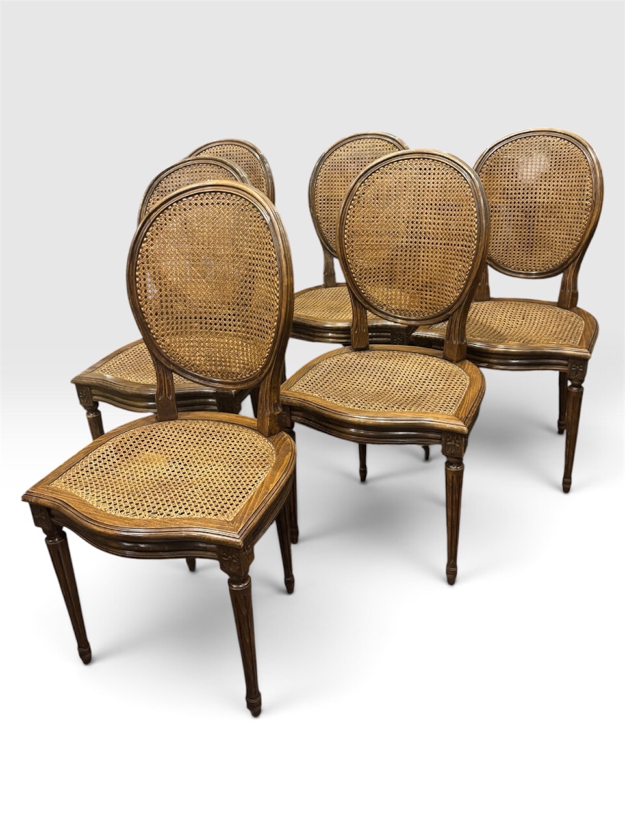 Set Of 6 Louis XVI-style Medallion Chairs With Cane Seats, Made Of Beech Wood—circa 1920–1930