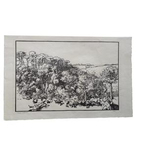 épreuve D’essai – Gravure Originale De Jacques Beltrand – Paysage Boisé