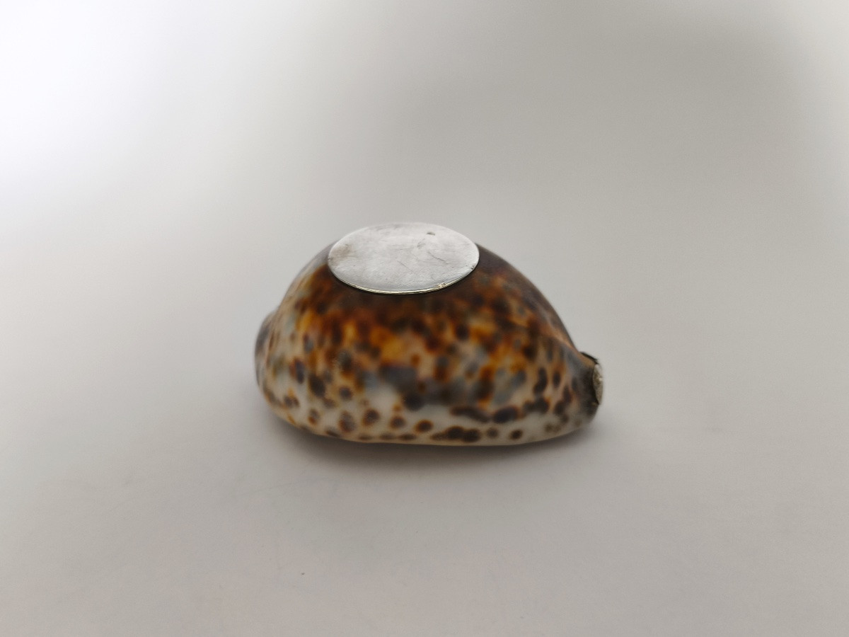 Grande boite tabatière dans un coquillage Cypraea ou porcelaine, monture argent massif vermeil-photo-1