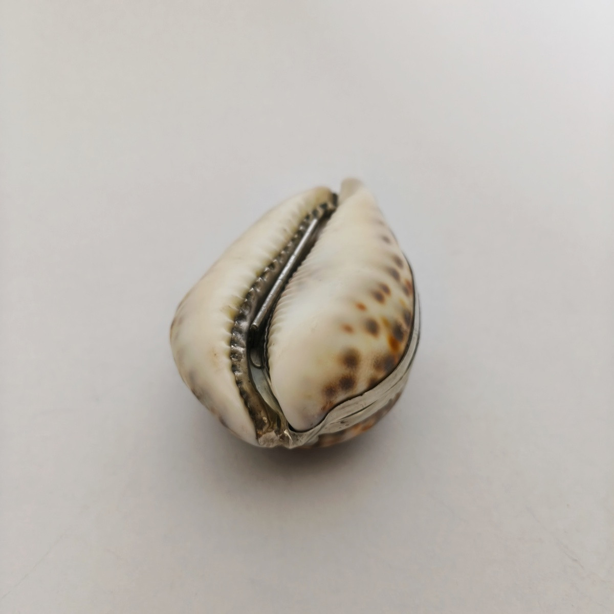 Grande boite tabatière dans un coquillage Cypraea ou porcelaine, monture argent massif vermeil-photo-4