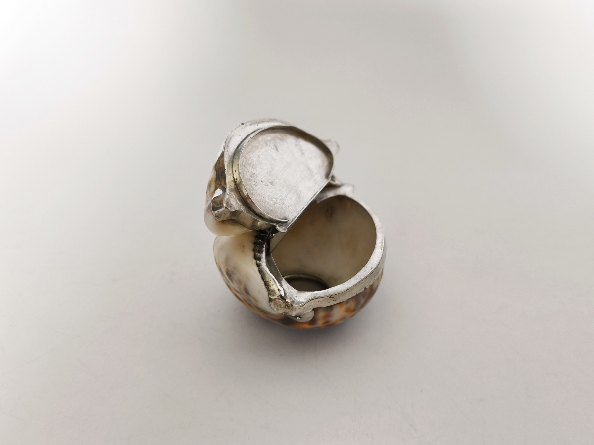Grande boite tabatière dans un coquillage Cypraea ou porcelaine, monture argent massif vermeil-photo-6