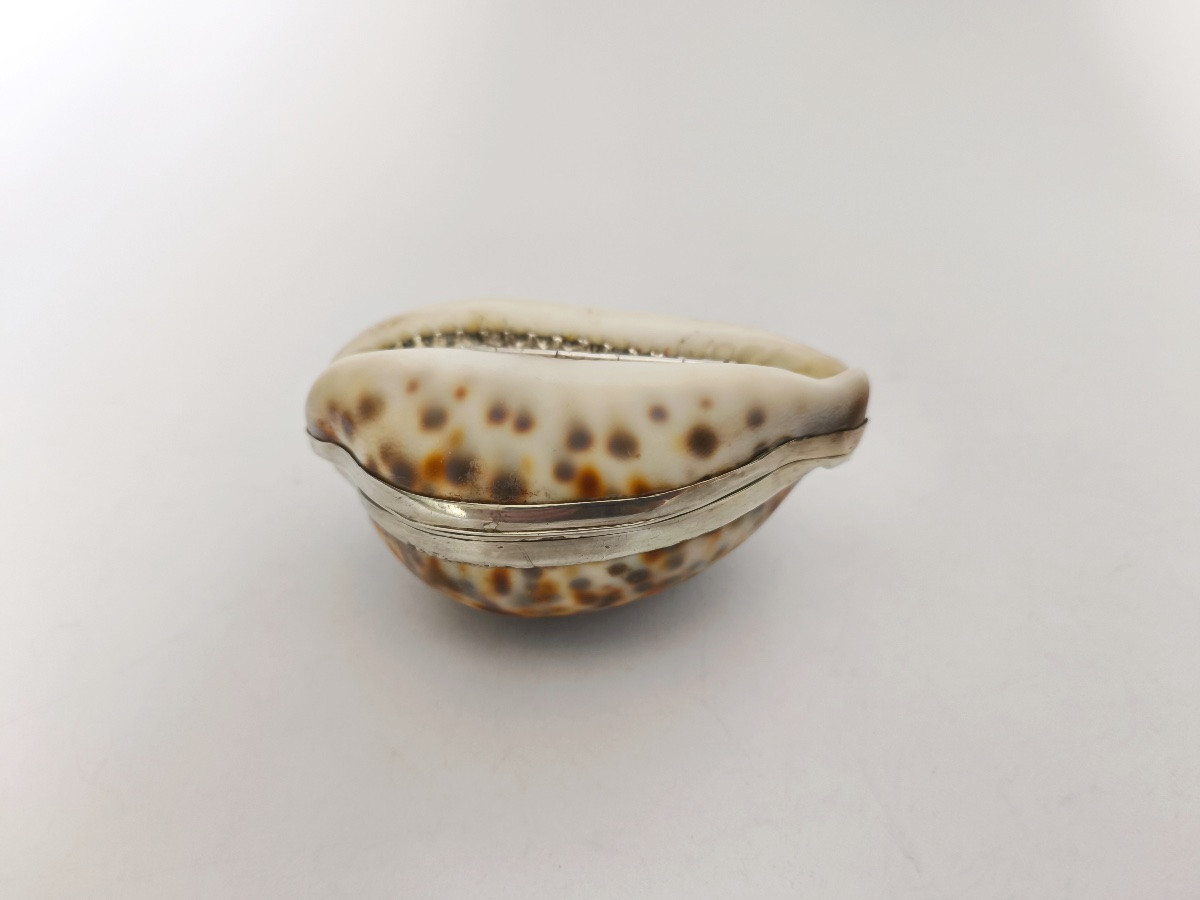 Grande boite tabatière dans un coquillage Cypraea ou porcelaine, monture argent massif vermeil-photo-7