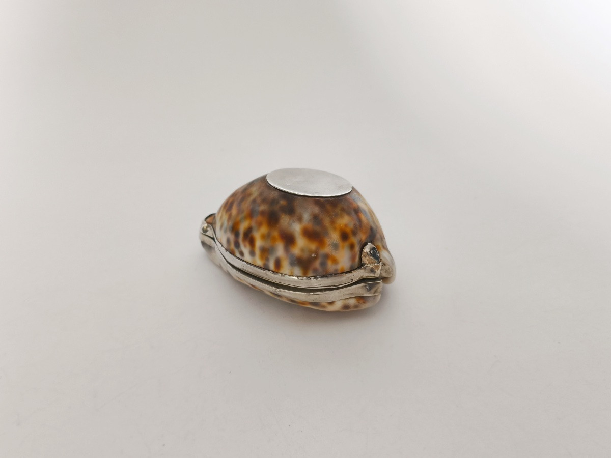 Grande boite tabatière dans un coquillage Cypraea ou porcelaine, monture argent massif vermeil-photo-8