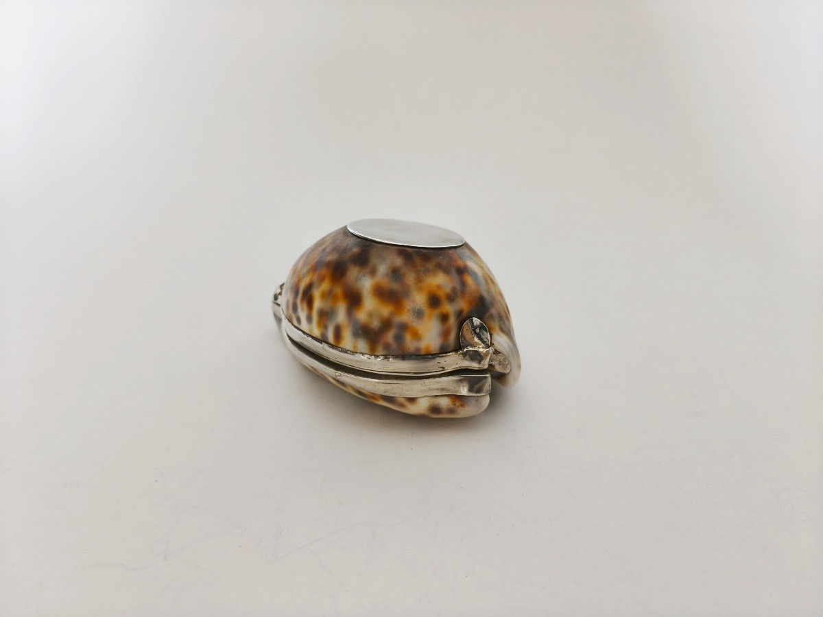 Grande boite tabatière dans un coquillage Cypraea ou porcelaine, monture argent massif vermeil