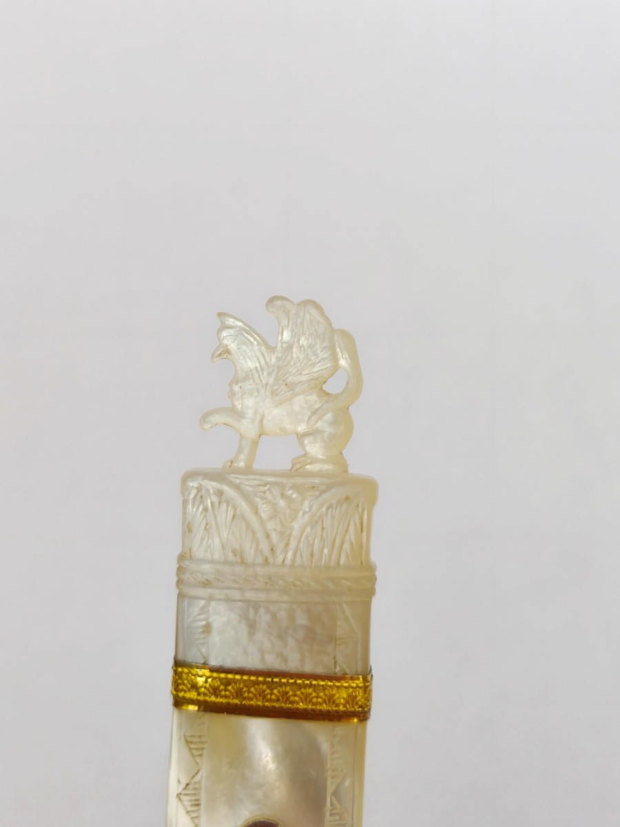 Charles X / Palais Royal : étui à aiguille a décor de griffon en nacre, argent et métal doré.-photo-6