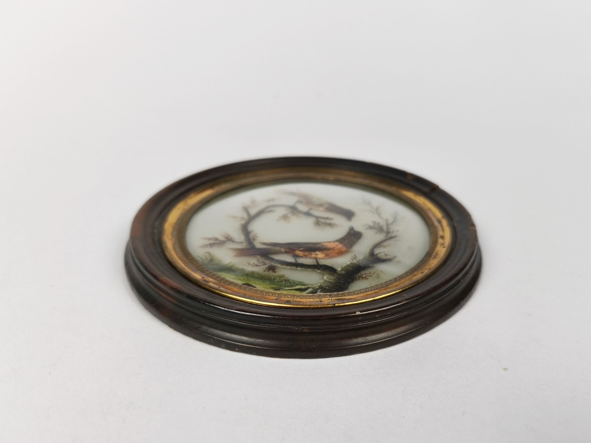 Miniature Bird In The Style Of Buffon With Feathers, By Hettlinger, Probably Sèvres Late 18th Century. -photo-2