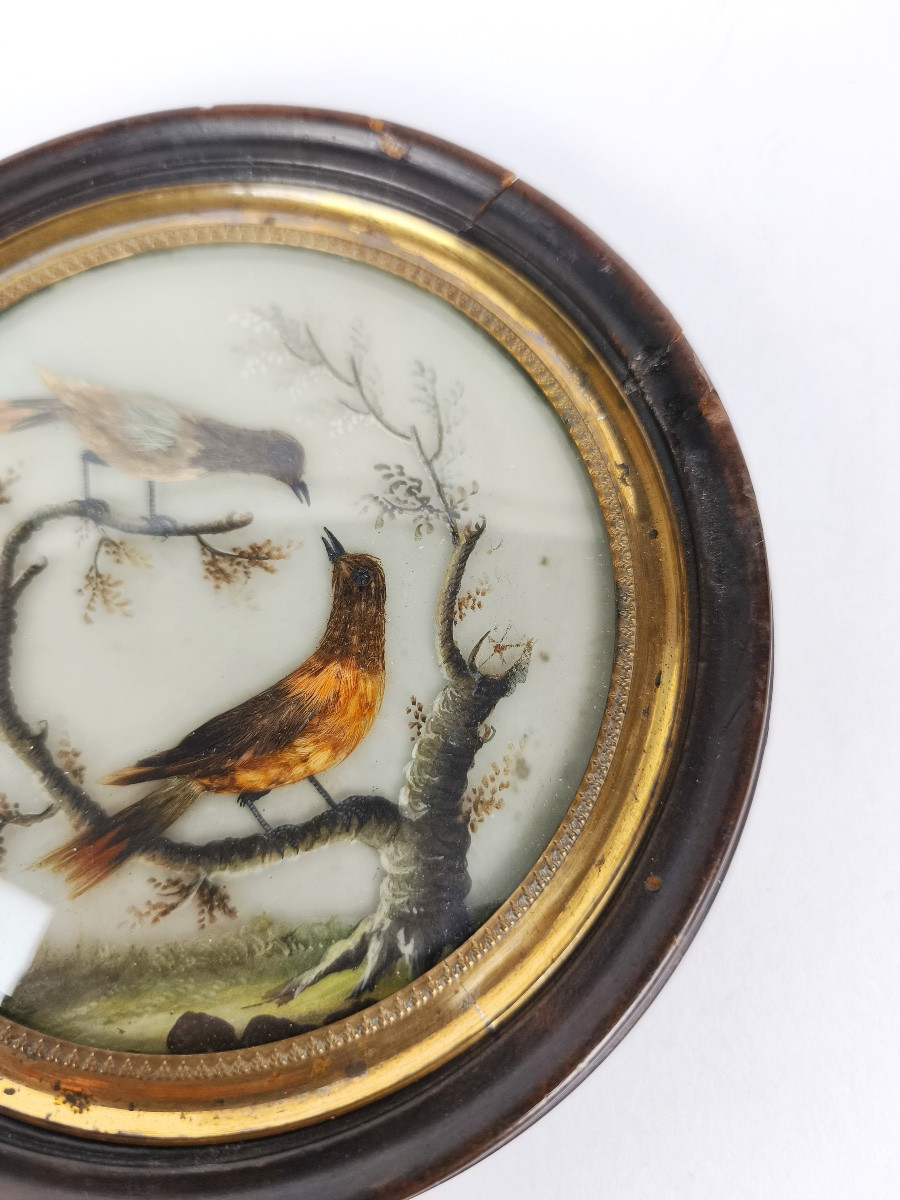 Miniature Bird In The Style Of Buffon With Feathers, By Hettlinger, Probably Sèvres Late 18th Century. -photo-5