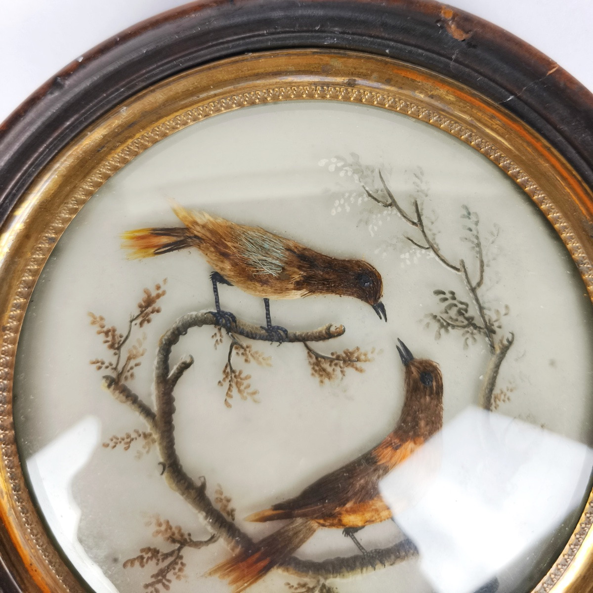 Miniature Bird In The Style Of Buffon With Feathers, By Hettlinger, Probably Sèvres Late 18th Century. -photo-7