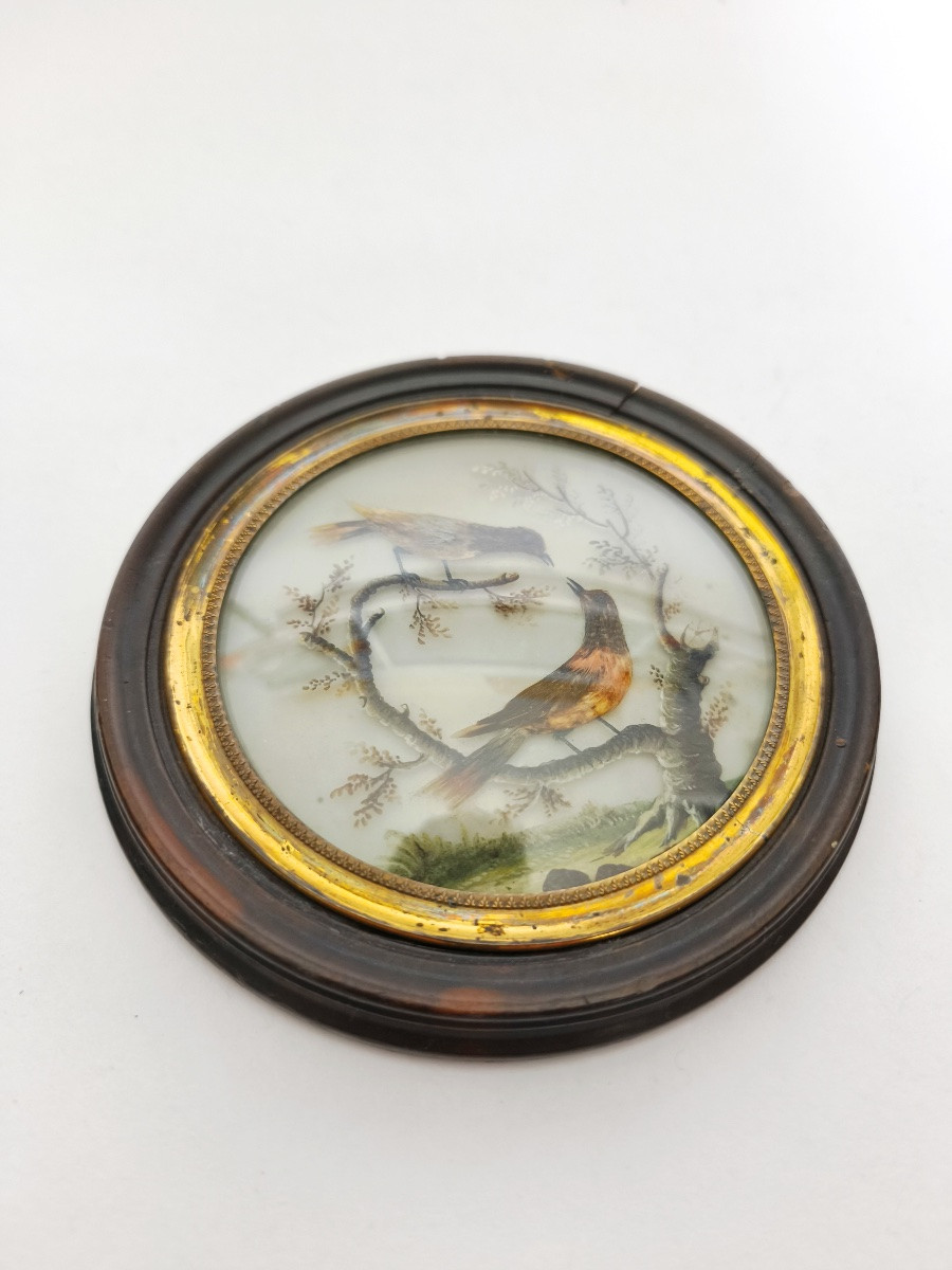 Miniature Bird In The Style Of Buffon With Feathers, By Hettlinger, Probably Sèvres Late 18th Century. -photo-8