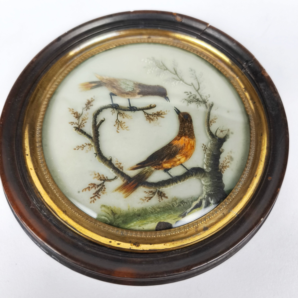 Miniature Bird In The Style Of Buffon With Feathers, By Hettlinger, Probably Sèvres Late 18th Century. 