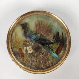 Hettlinger (att): Interesting “buffon” Snuffbox In Gold, Wood And Tortoiseshell. 18th Century Sèvres