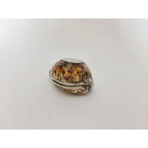 Grande boite tabatière dans un coquillage Cypraea ou porcelaine, monture argent massif vermeil