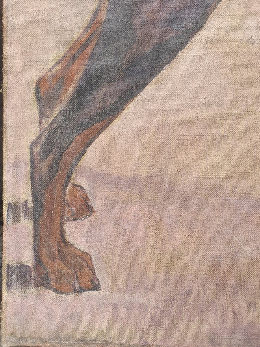 Large Dobermann Dog Painting Signed Emile Joseph Patoux (1893-1985) Belgian Painter-photo-4