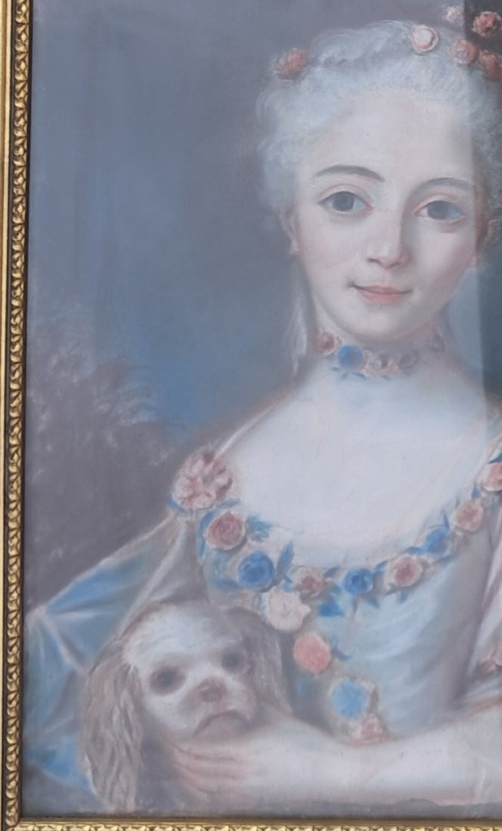 Portrait Of A Young Girl, Louis XV Style, Pastel, 18th Century, Noblewoman, Nobility, Dog, Marquise, On Vellum, Roses -photo-2