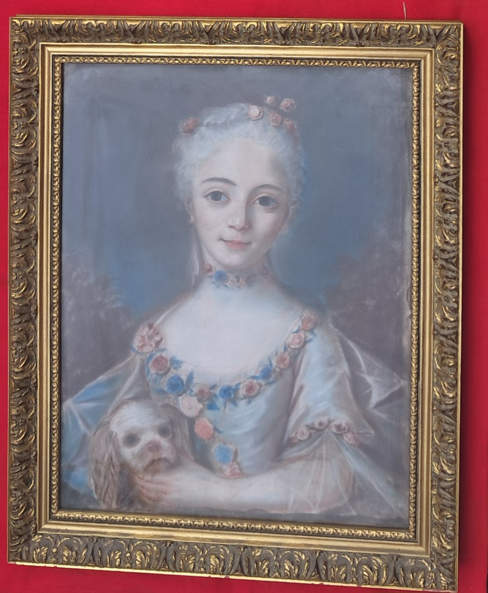 Portrait Of A Young Girl, Louis XV Style, Pastel, 18th Century, Noblewoman, Nobility, Dog, Marquise, On Vellum, Roses 