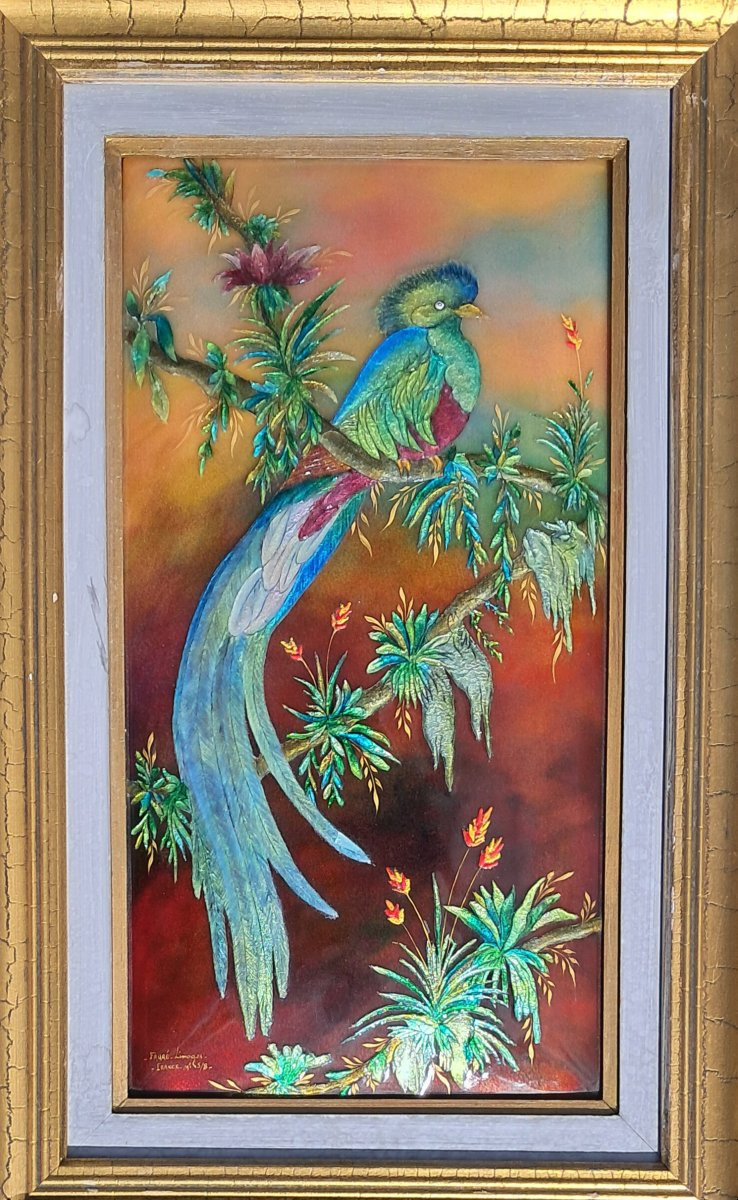 Grand émail Limoges Camille FAURE oiseau exotique Perroquet fleurs plaque d'Argent Limousin -photo-4